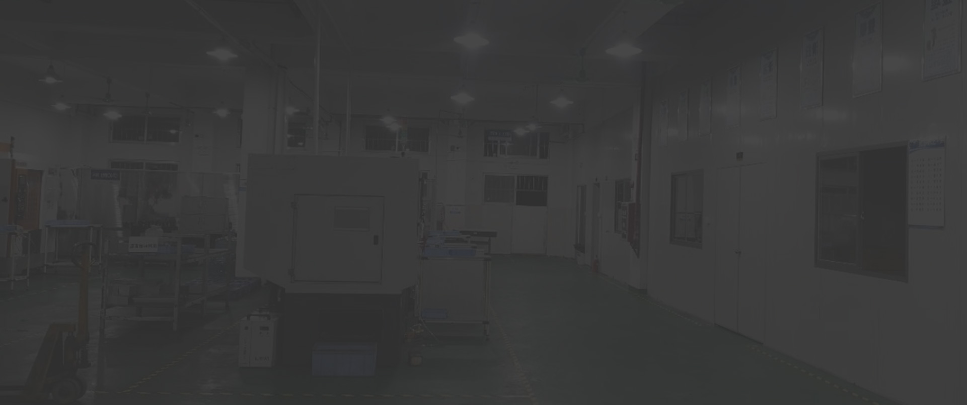 成功案例